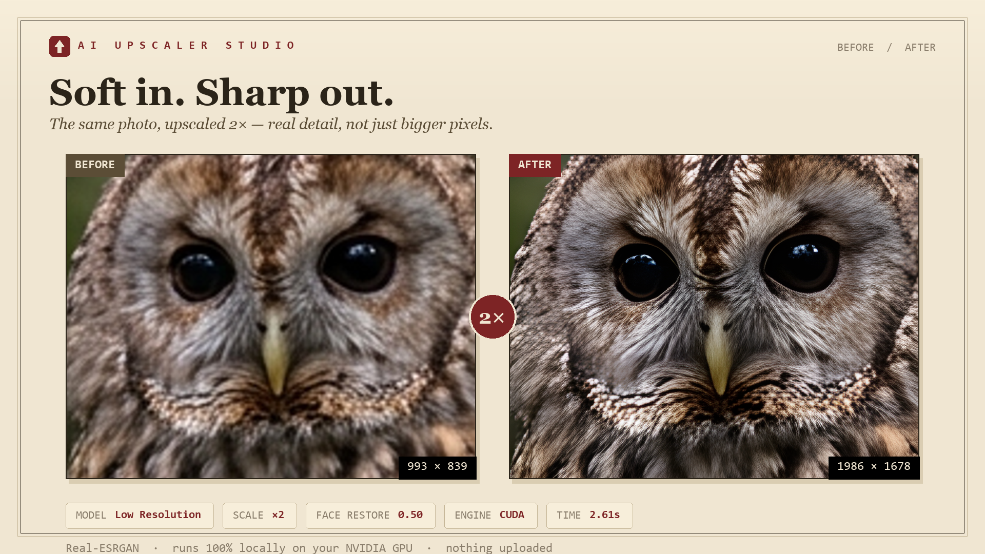 Before / After: a soft owl photo sharpened with face restoration.